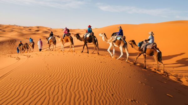 12 Days Egypt Nile Cruise & Jordan Tour and your choice of a medical package - Image 8