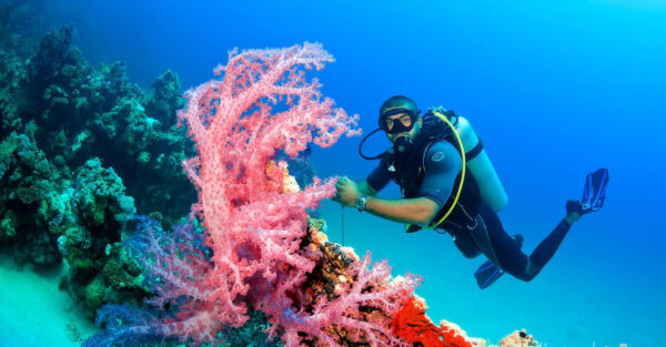 Mystique & Majesty: Your 10-Day Escape Through Egypt’s most iconic wonders and your choice of a medical package - Image 3