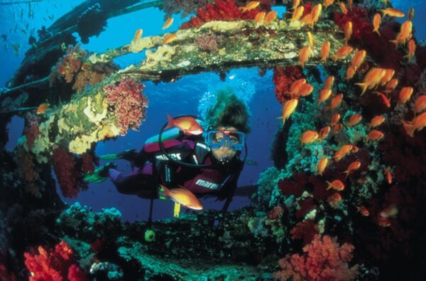 Mystique & Majesty: Your 10-Day Escape Through Egypt’s most iconic wonders and your choice of a medical package - Image 11