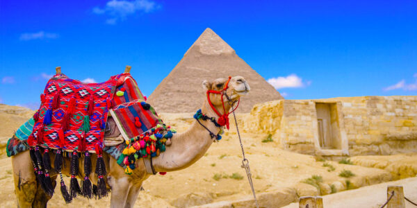 A Cultural Escape in Cairo-3 Days of Discovery - Image 6