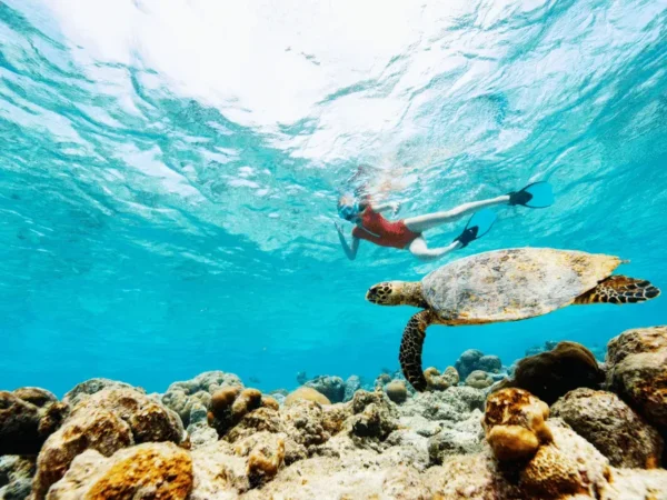 9 Days Cairo, Luxor, Aswan, Hurghada & Nile Cruise